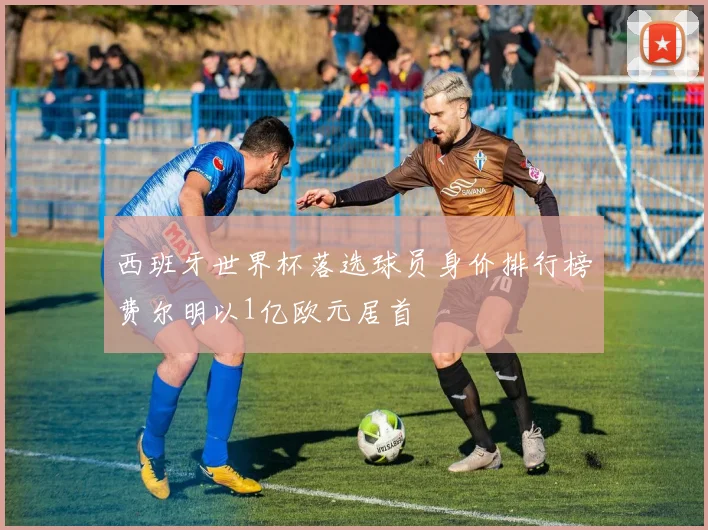 西班牙世界杯落选球员身价排行榜费尔明以1亿欧元居首