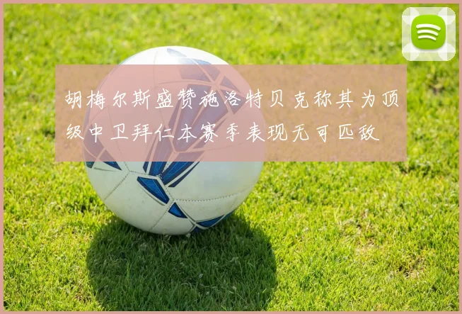 胡梅尔斯盛赞施洛特贝克称其为顶级中卫拜仁本赛季表现无可匹敌